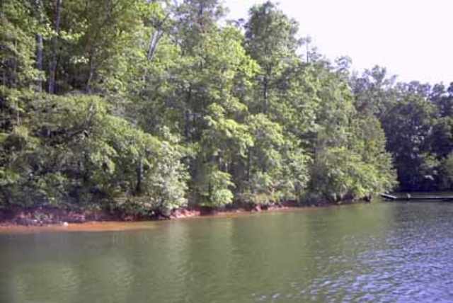 Lot 4 Old Beacon Light Road Hartwell, GA 30643 - Photo 1 of 7 Gallery Image 1