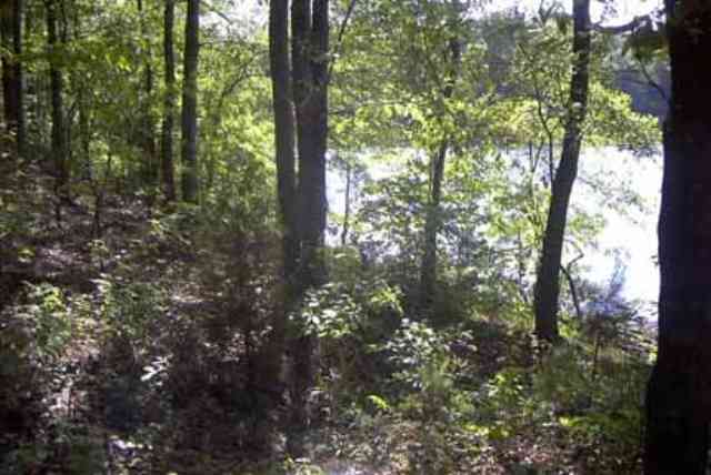 Lot 4 Old Beacon Light Road Hartwell, GA 30643 - Photo 3 of 7 Gallery Image 3