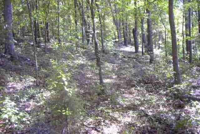 Lot 4 Old Beacon Light Road Hartwell, GA 30643 - Photo 4 of 7 Gallery Image 4