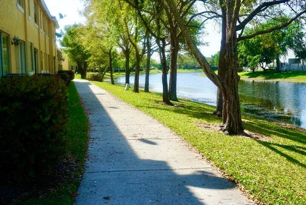 a view of a yard with plants and trees