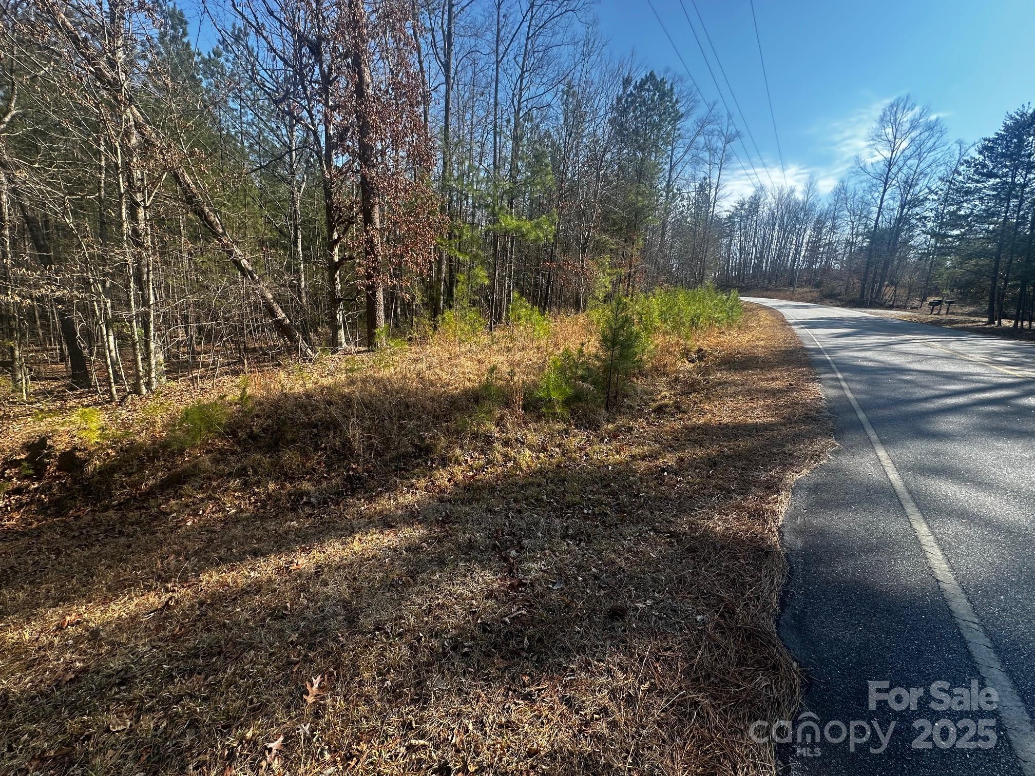 0 Grassy Knob Road Rutherfordton, NC 28139 - Photo 1 of 15 Gallery Image 1