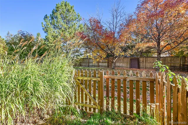 a view of a wooden house with a large tree