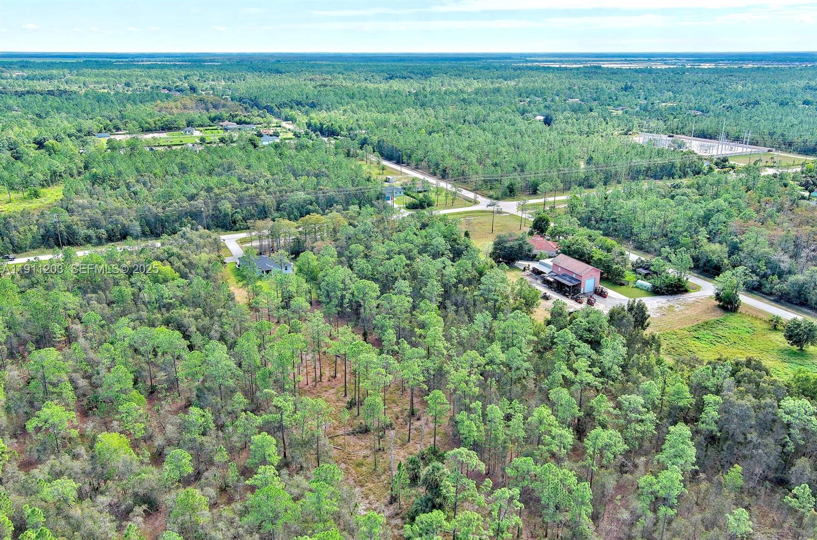 0 Everglades Boulevard North Naples, FL 34120 - Photo 14 of 16 a view of a lush green forest with trees and some houses