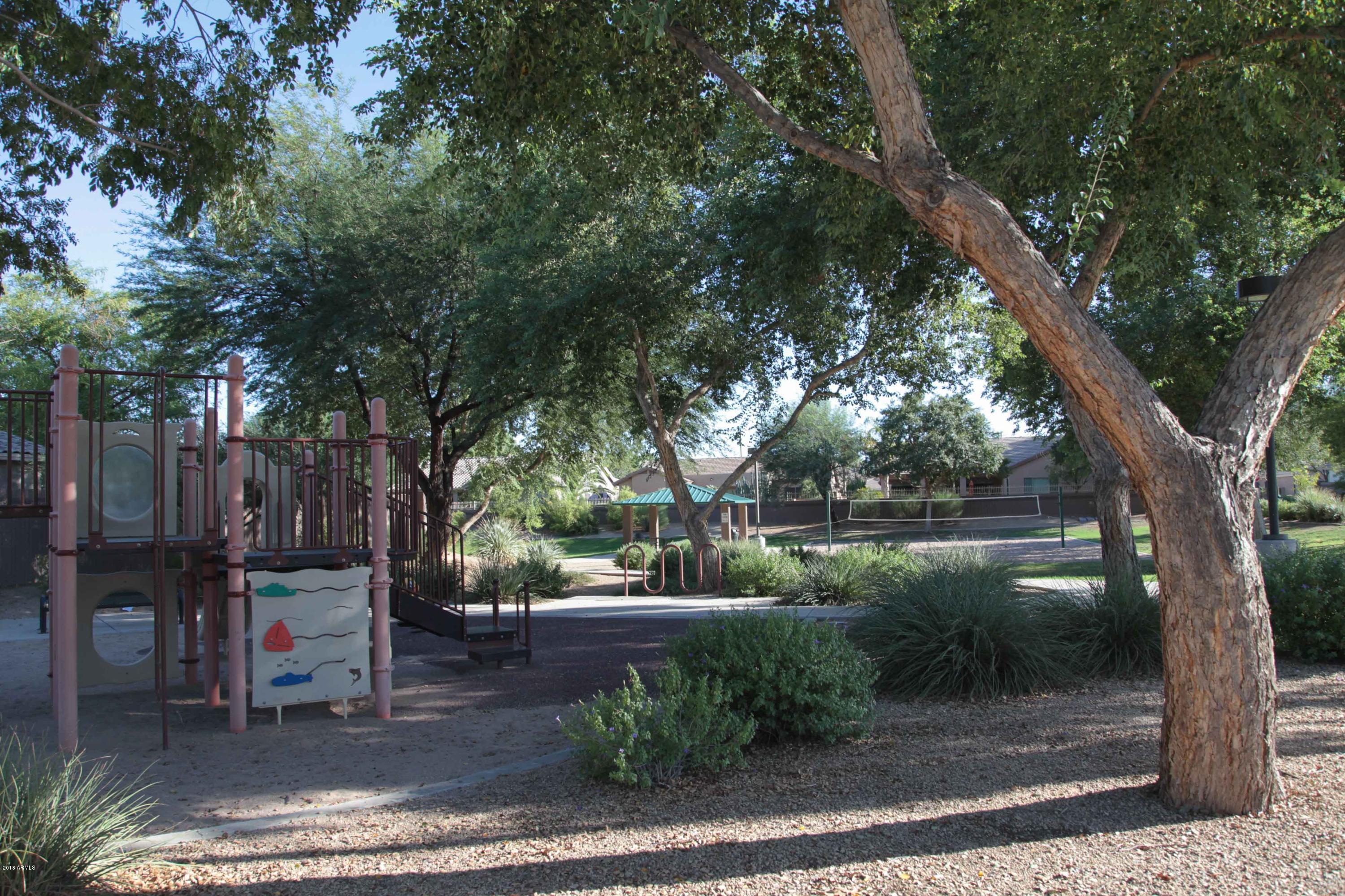 3284 East Attleboro Road Gilbert, AZ 85295 - Photo 5 of 15 Park