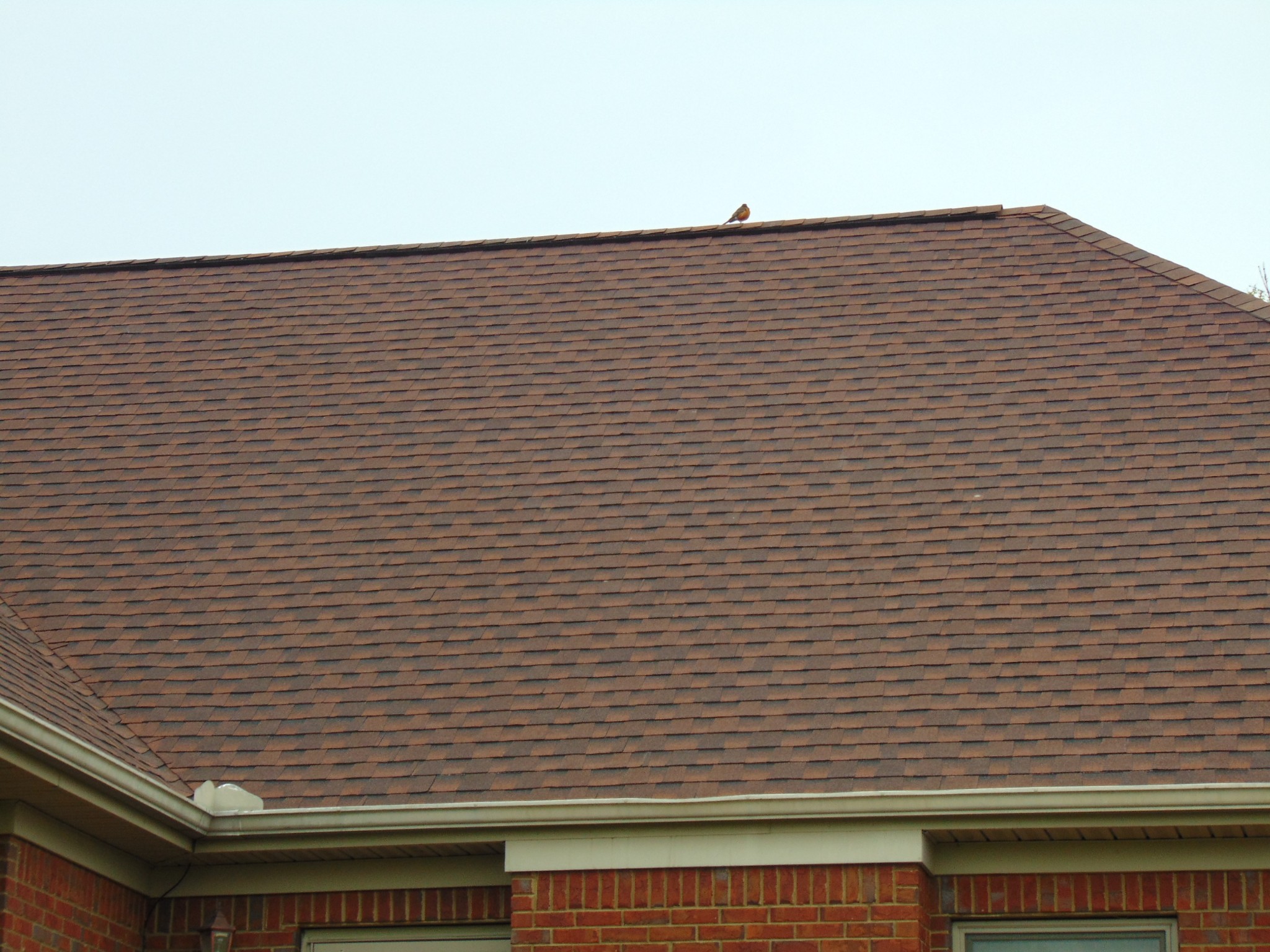 17 Eastridge Road Fayetteville, TN 37334 - Photo 49 of 51