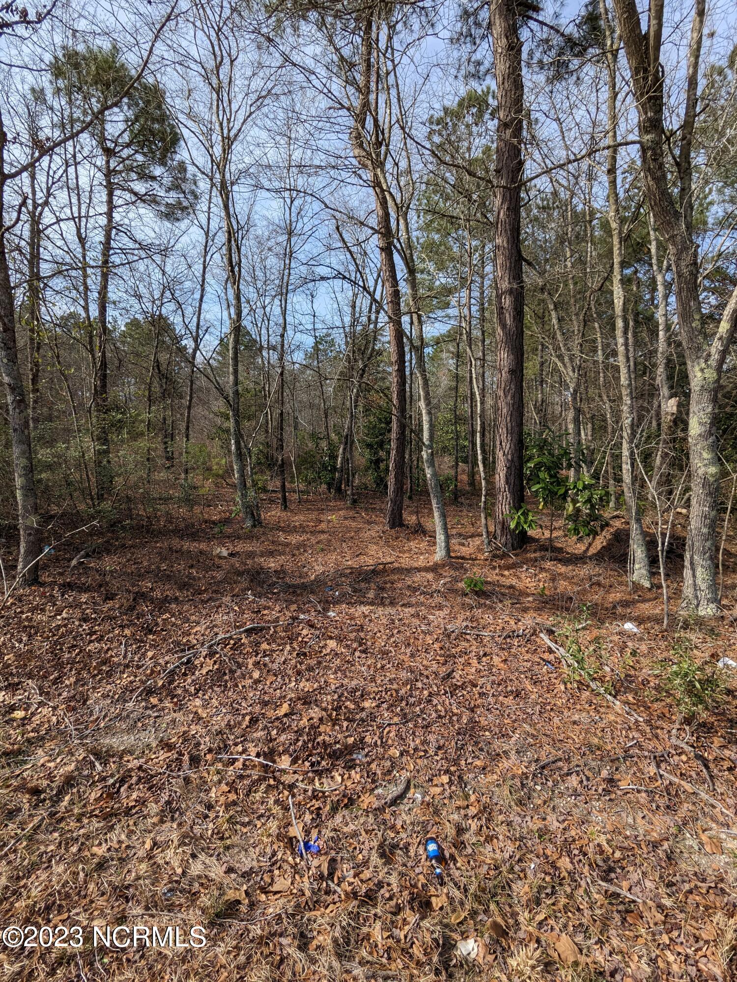 4 Carthage Road West End, NC 27376 - Photo 4 of 4 Lot 4-2