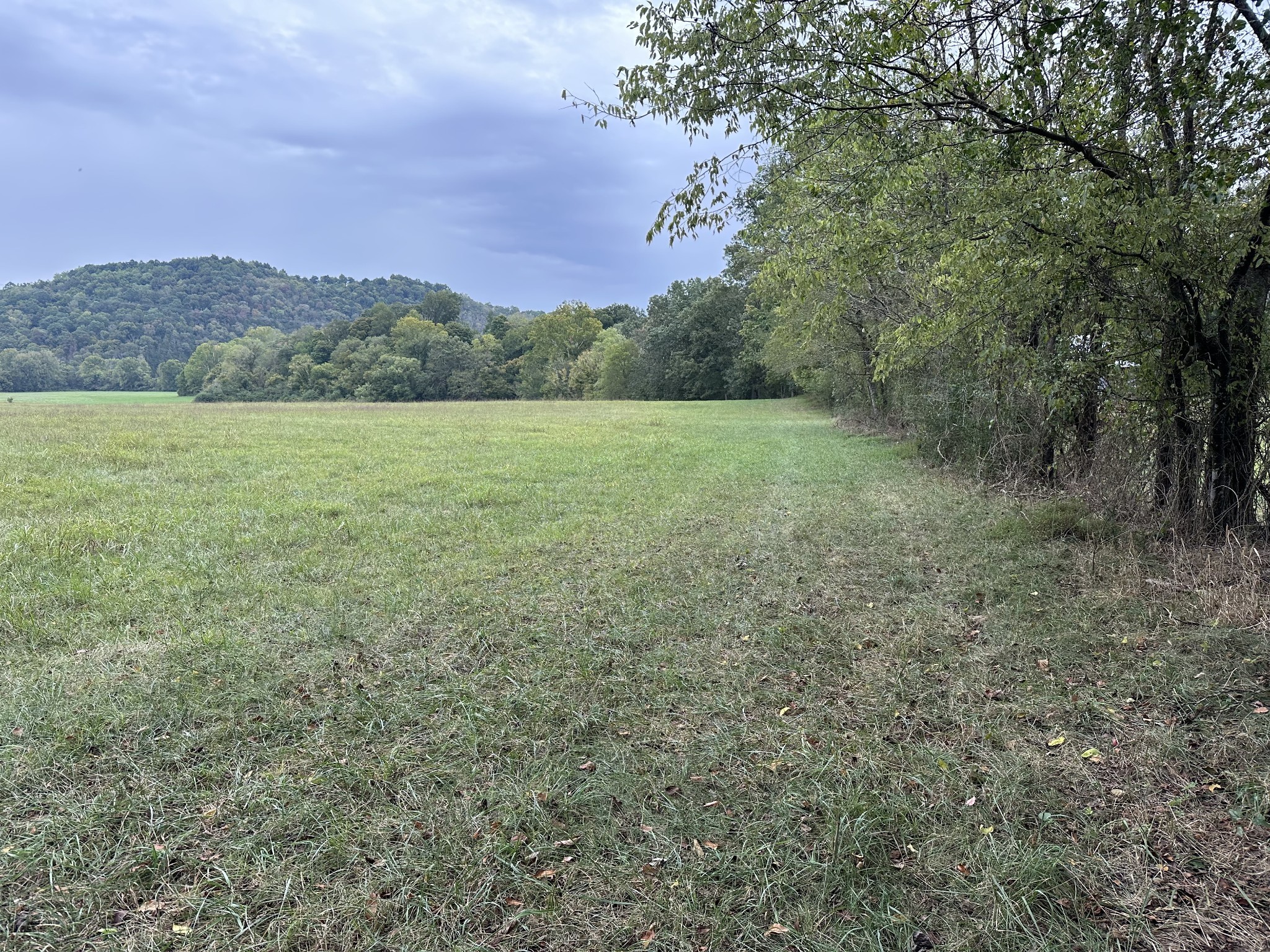 0 Club Springs Road Elmwood, TN 38560 - Photo 12 of 17 a view of outdoor space and mountain view