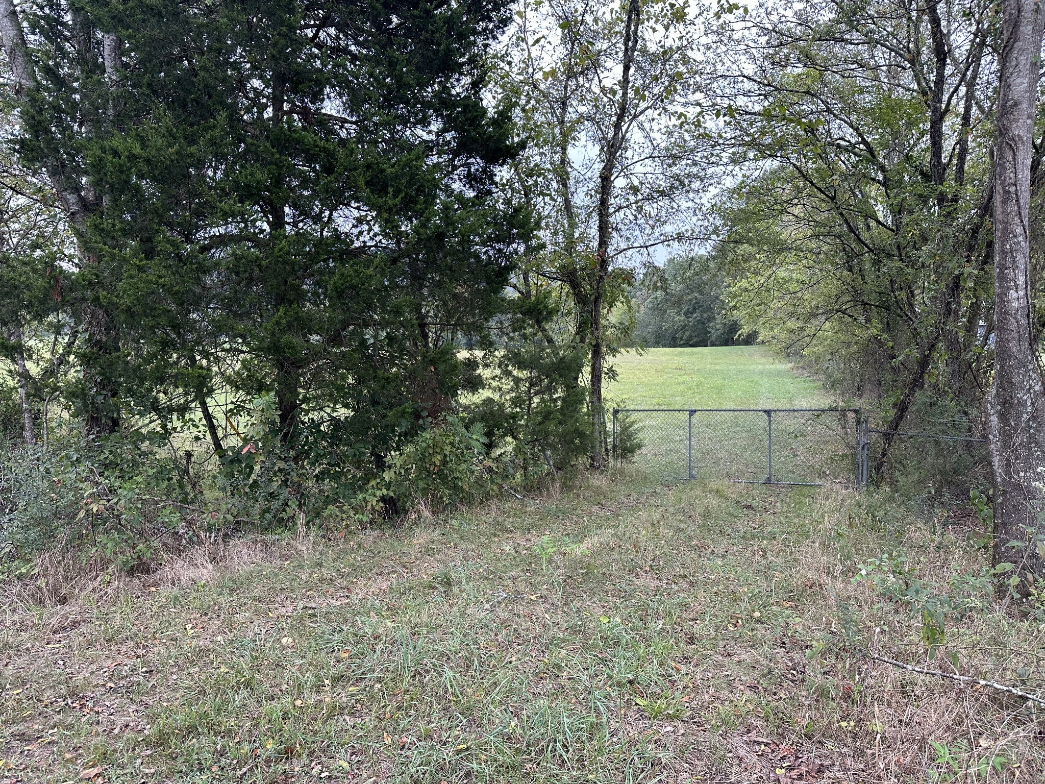 0 Club Springs Road Elmwood, TN 38560 - Photo 13 of 17 a view of an outdoor space and a yard