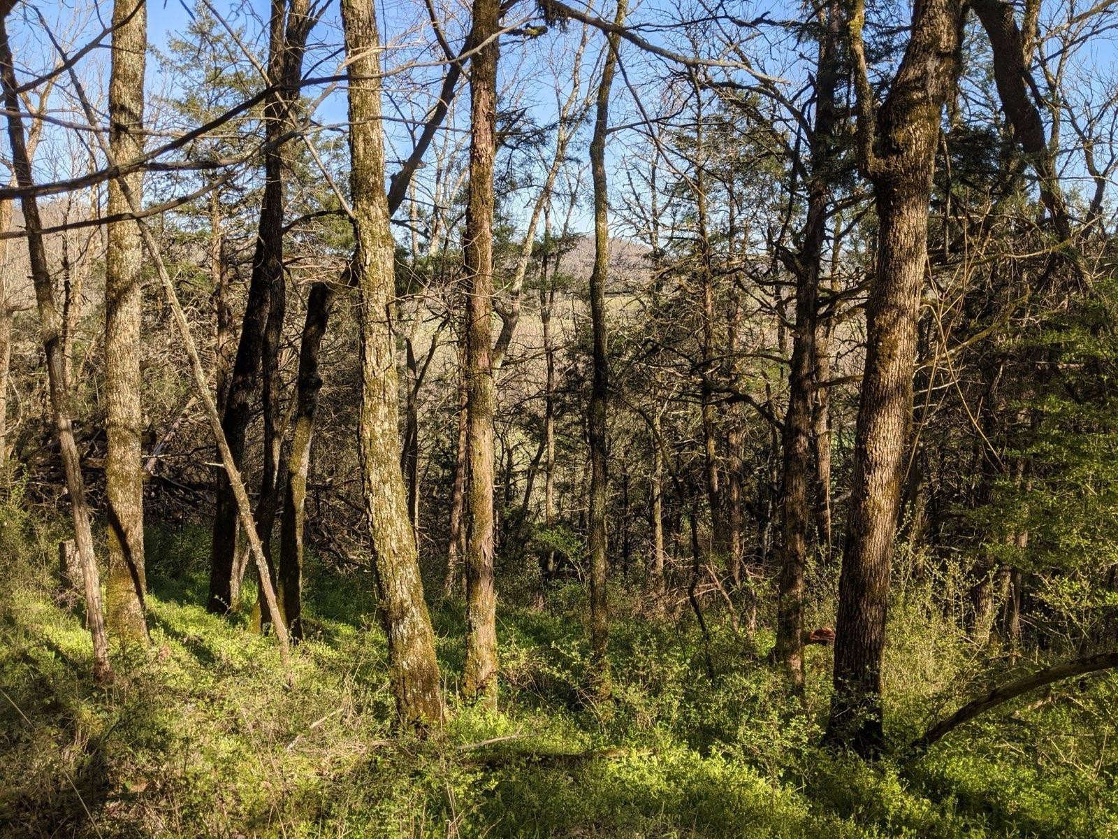 0 Club Springs Road Elmwood, TN 38560 - Photo 14 of 17 a view of under construction area