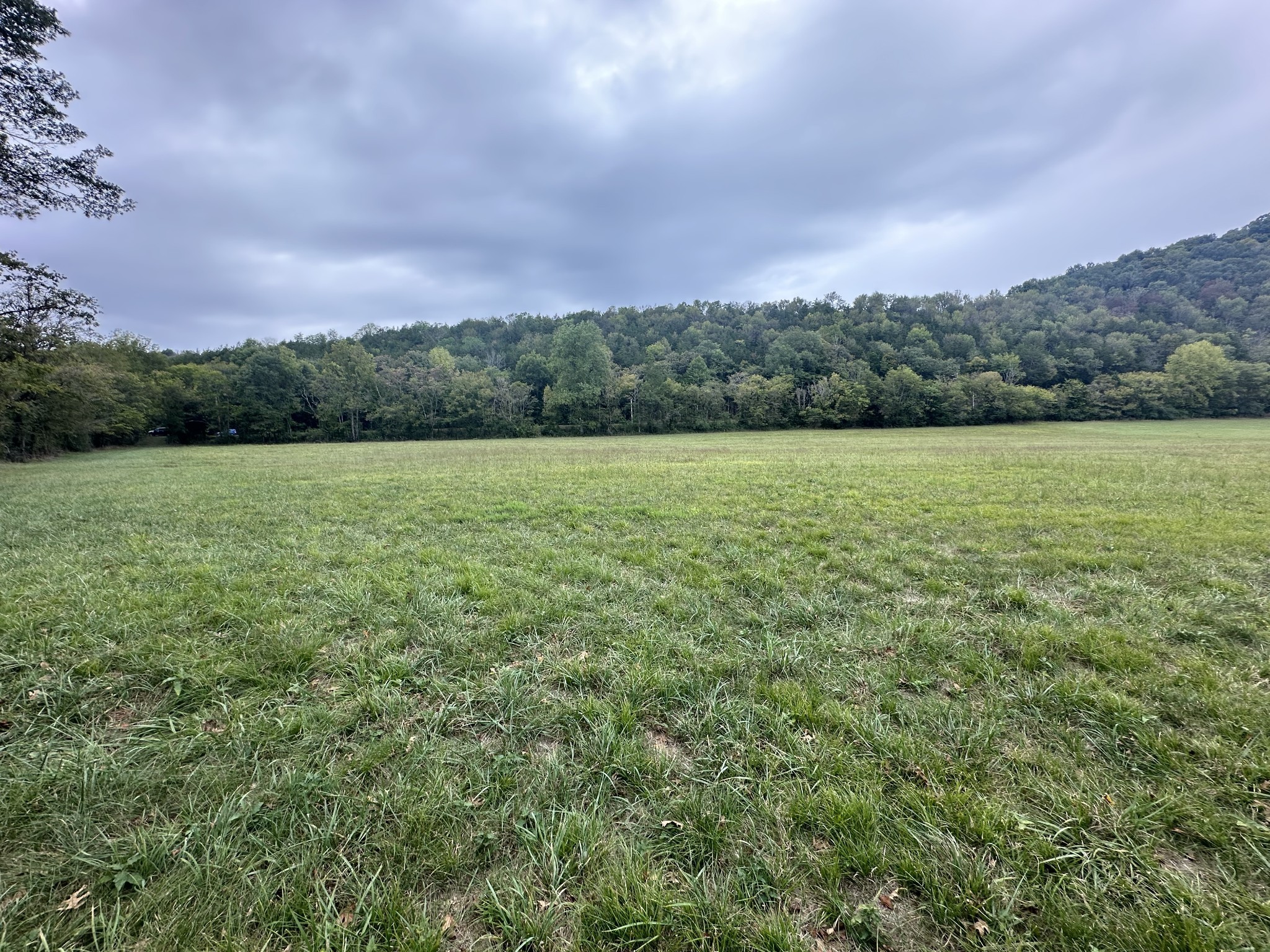 0 Club Springs Road Elmwood, TN 38560 - Photo 9 of 17 a view of outdoor space and mountain view