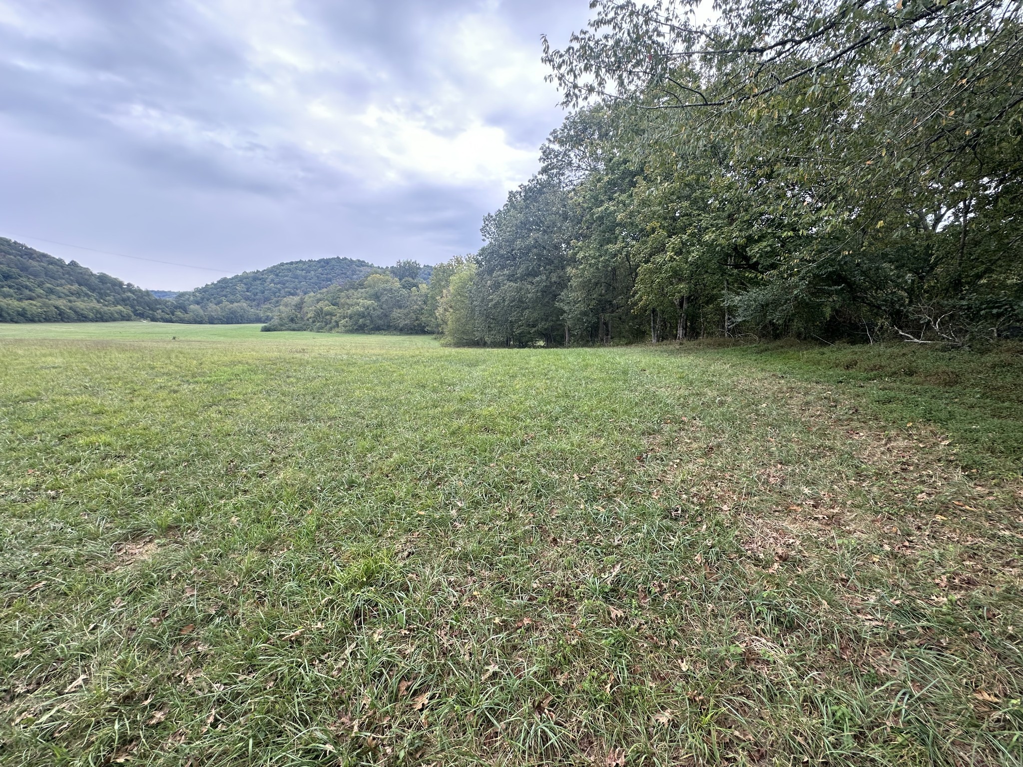 0 Club Springs Road Elmwood, TN 38560 - Photo 10 of 17 a view of outdoor space and mountain view