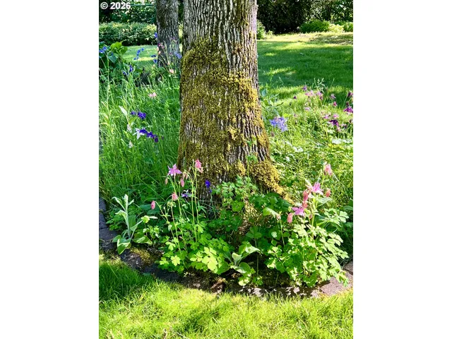 $775,000 | 692 Echo Drive, Roseburg, OR 97470