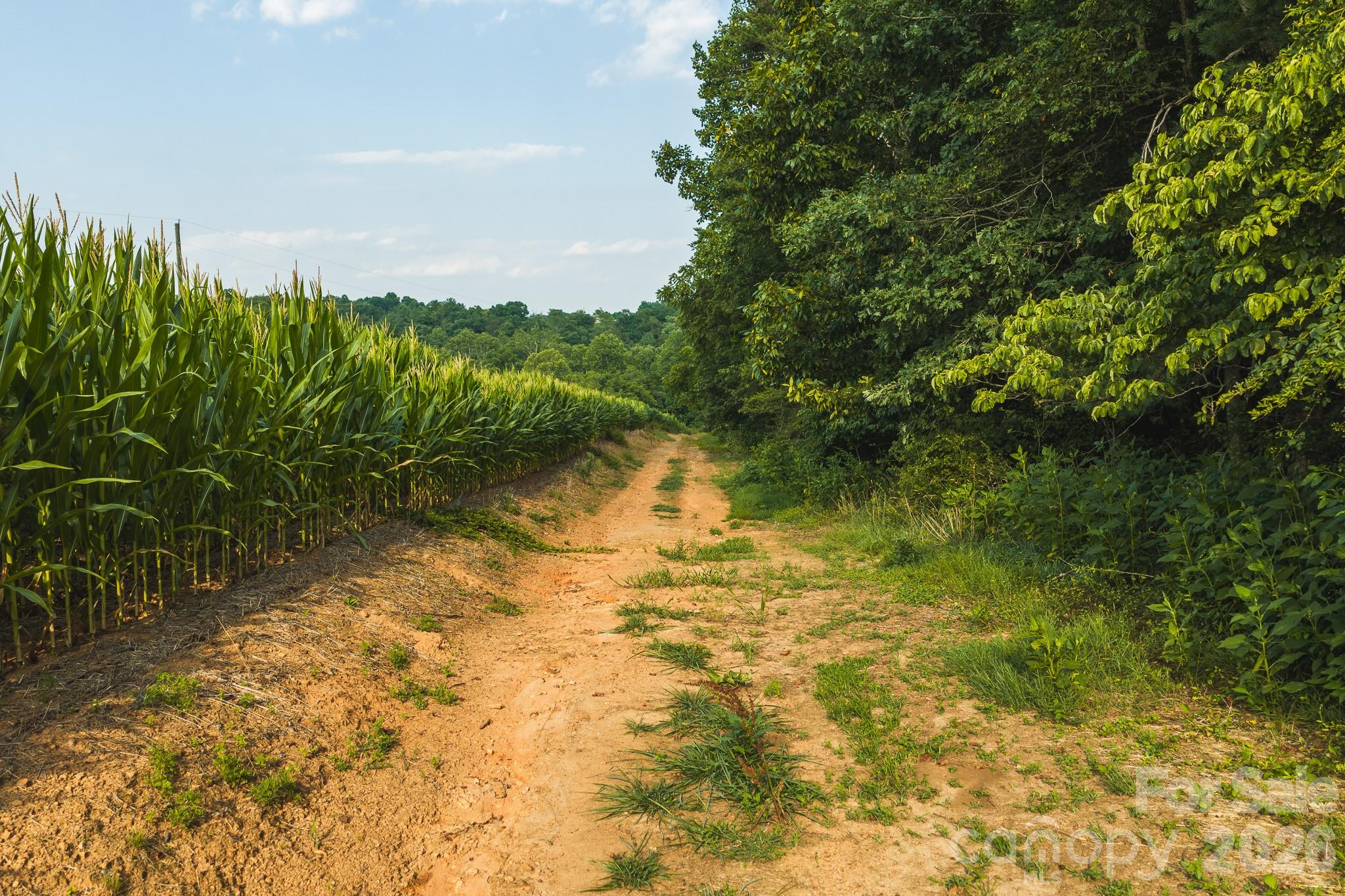 Tbd Sandbar Road Granite Falls, NC 28630 - Photo 18 of 43