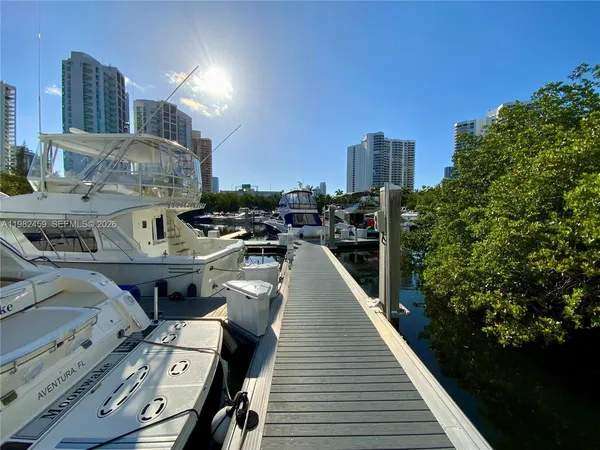 a view of a park with palm tree