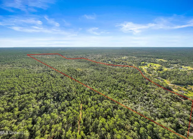 $776,250 | 0 Reese Drive, Saucier, MS 39574