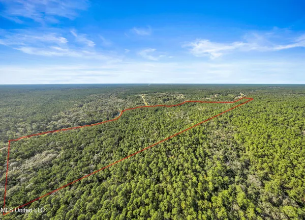 $695,000 | 0 Reese Drive, Saucier, MS 39574