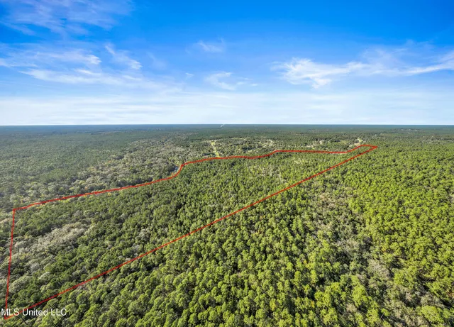 $776,250 | 0 Reese Drive, Saucier, MS 39574