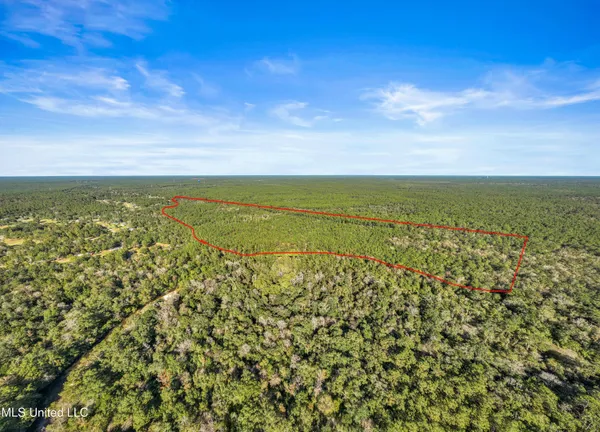 $695,000 | 0 Reese Drive, Saucier, MS 39574