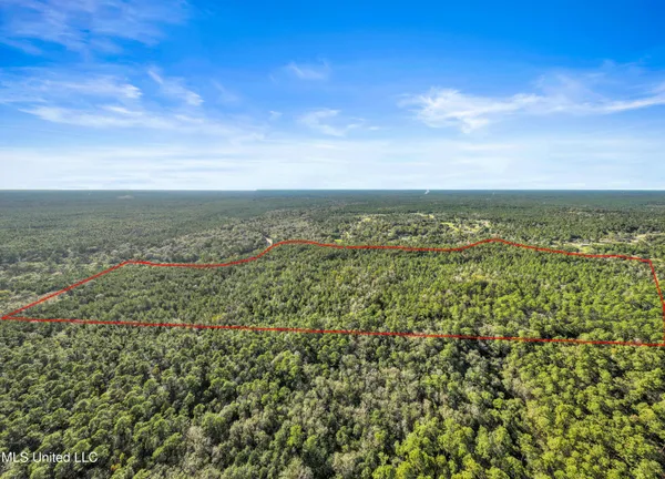 $695,000 | 0 Reese Drive, Saucier, MS 39574
