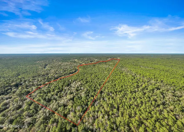 $695,000 | 0 Reese Drive, Saucier, MS 39574