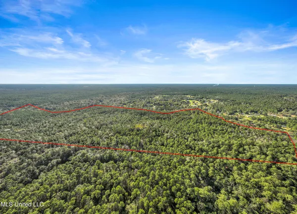 $695,000 | 0 Reese Drive, Saucier, MS 39574