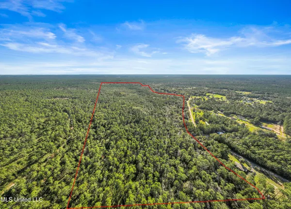 $695,000 | 0 Reese Drive, Saucier, MS 39574