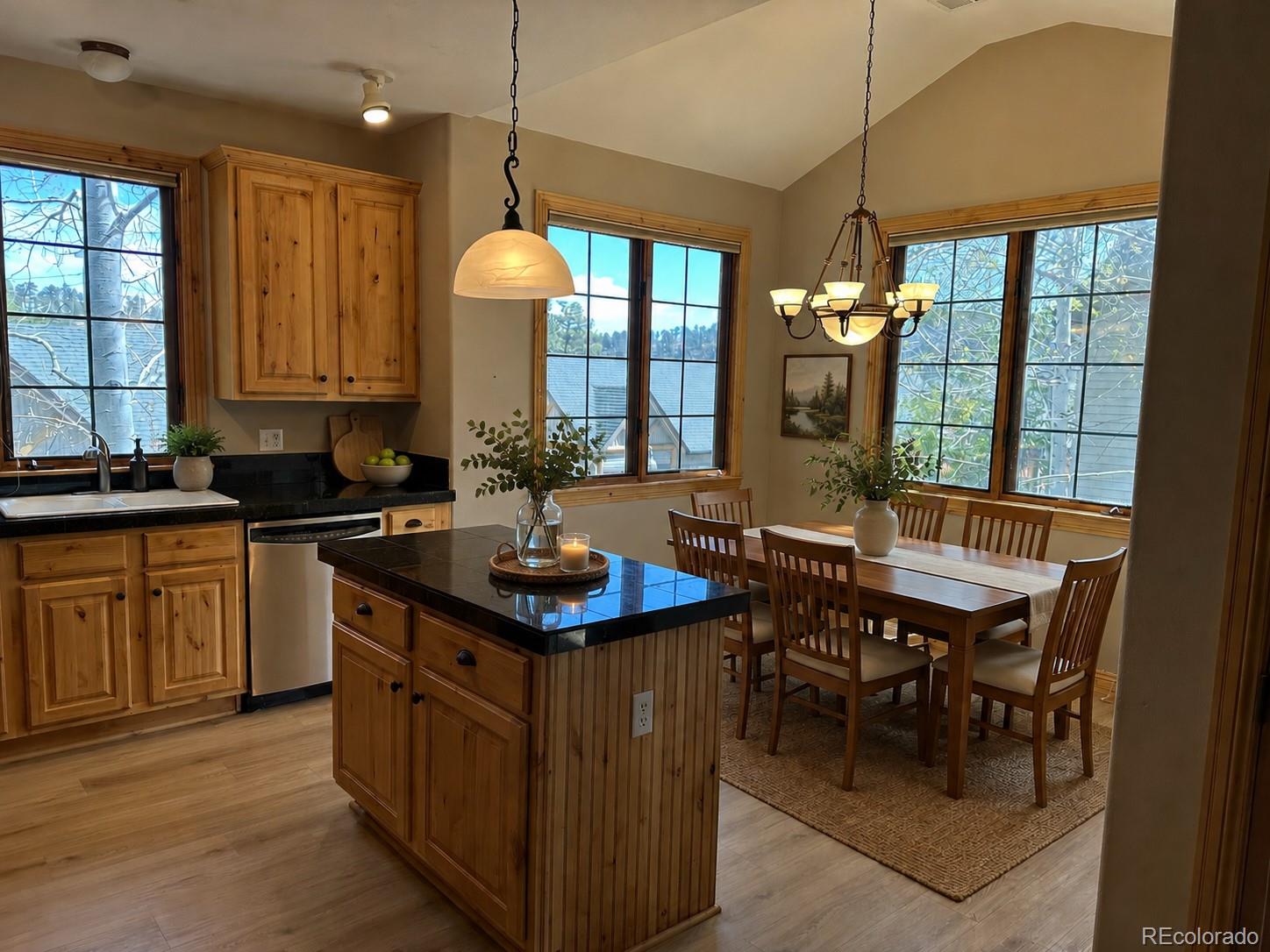 31276 Stone Canyon Road, Unit 76206 Evergreen, CO 80439 - Photo 4 of 23