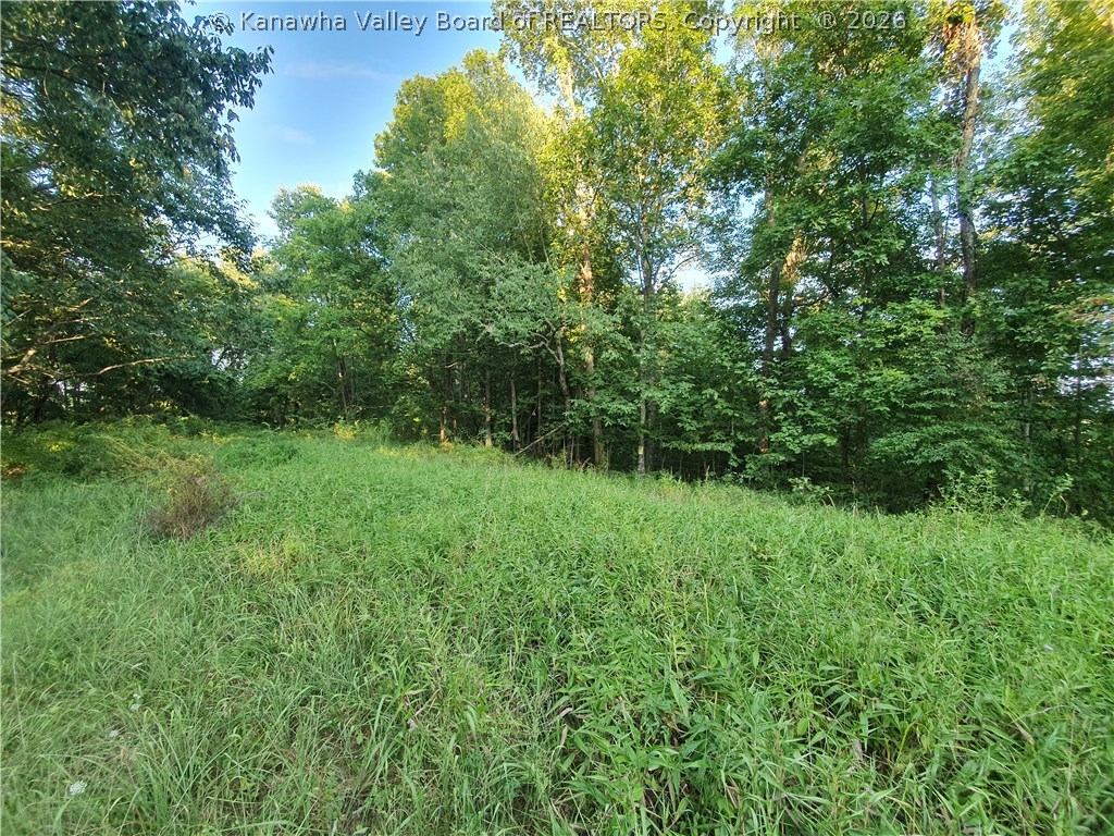 0 Bear Fork Road Gay, WV 25244 - Photo 1 of 23 Gallery Image 1