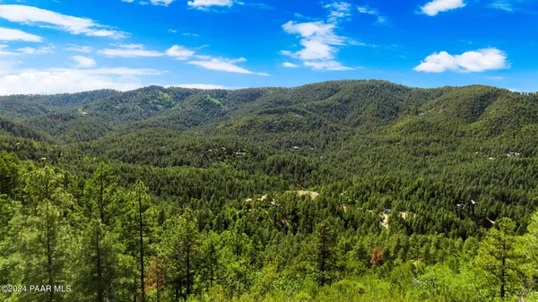 a view of a city with lush green forest
