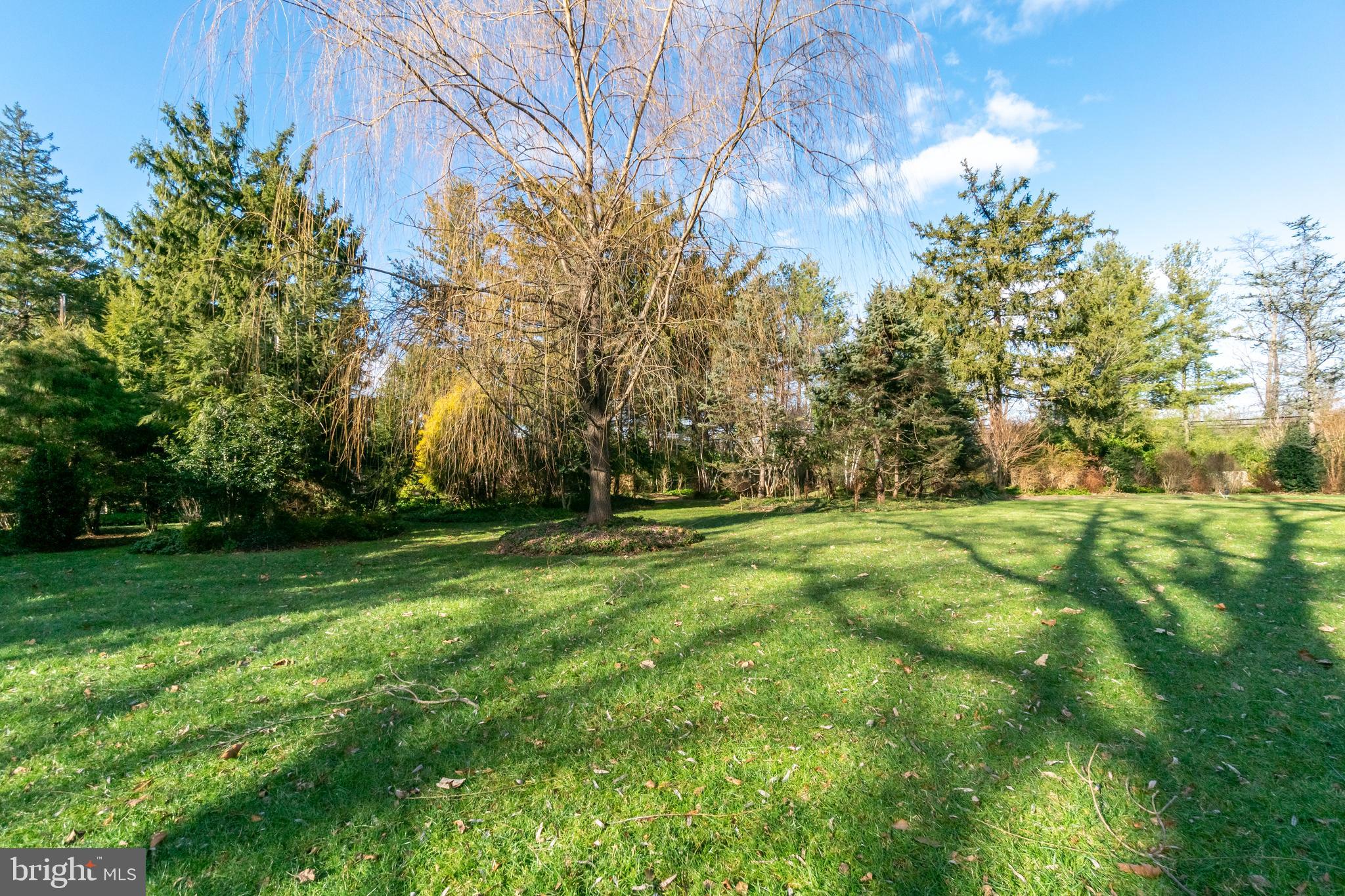 36 Nelson Ridge Road Princeton, NJ 08540 - Photo 8 of 50