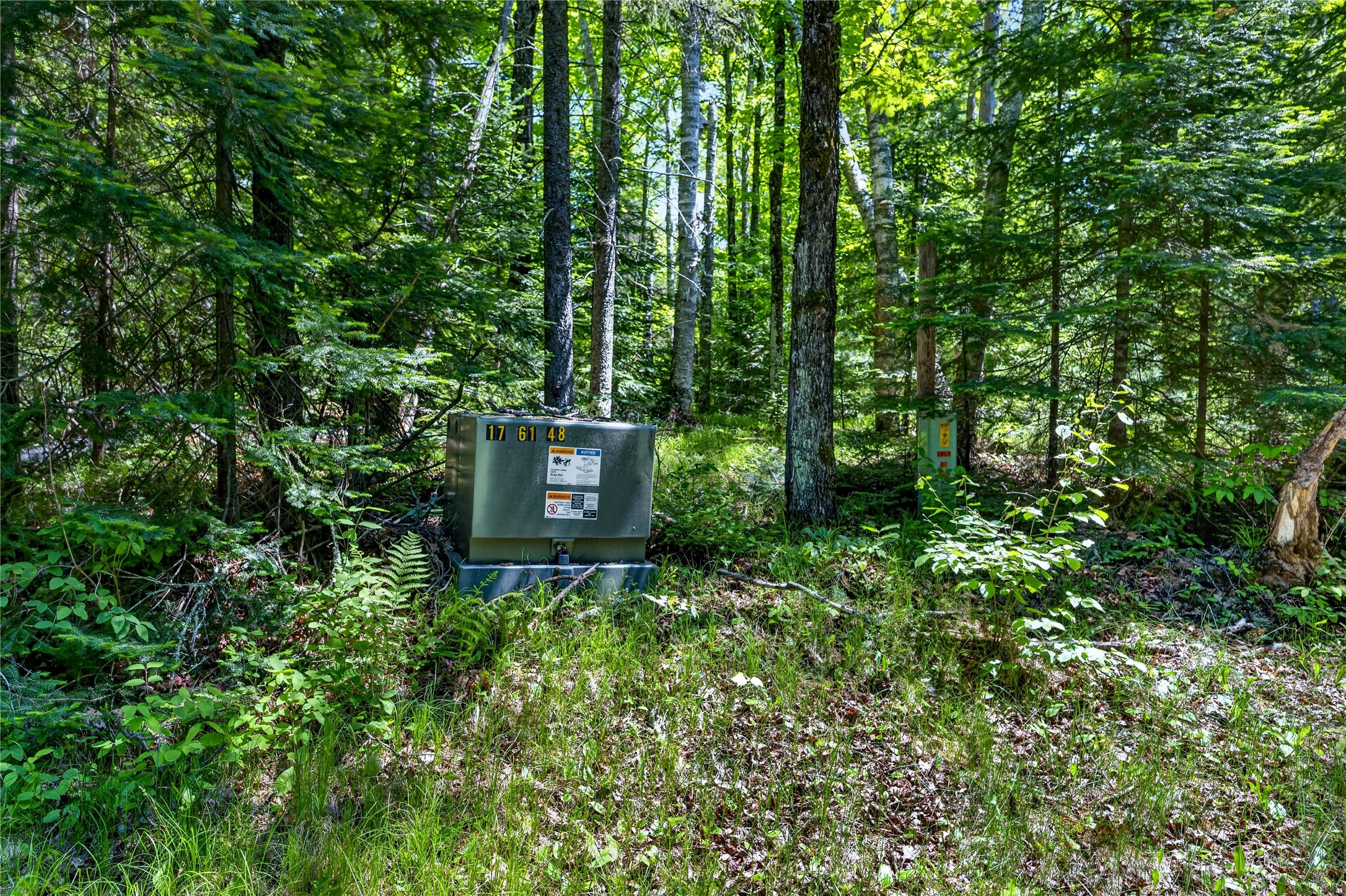 43545 Helm Pt Road Cable, WI 54821 - Photo 26 of 30