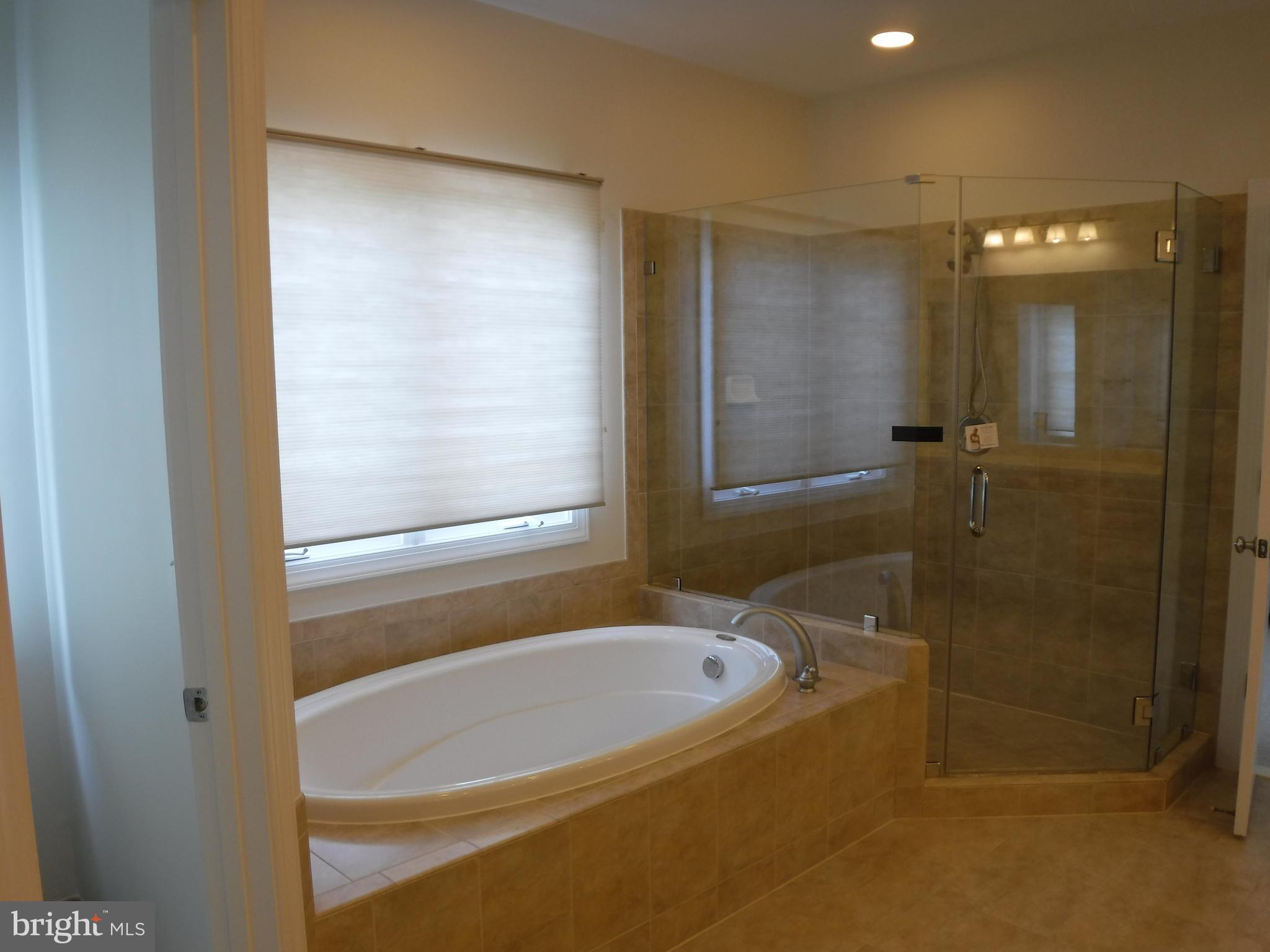 16721 Ivandale Road Hamilton, VA 20158 - Photo 25 of 30 Soaking Tub, Stand up Shower, Toilet Compartment