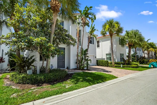 a plant that is in front of a door