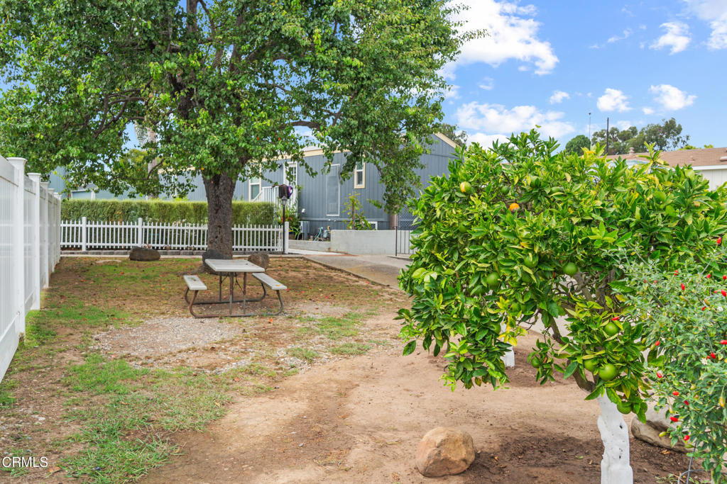 7368 Hollister Avenue, Unit 28 Goleta, CA 93117 - Photo 30 of 33 a view of a backyard with a garden