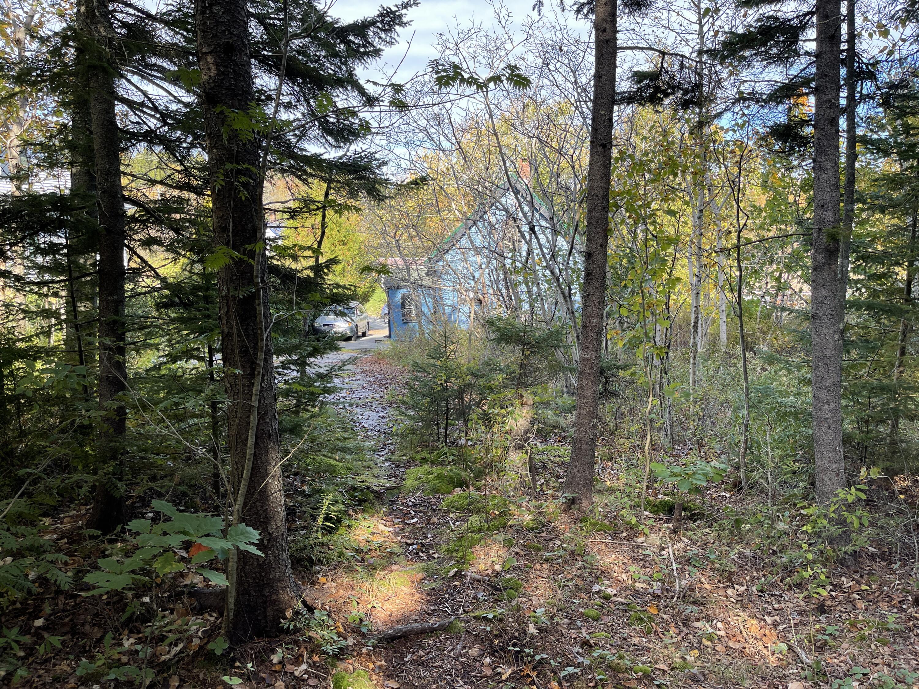 28 Green Head Road Stonington, ME 04681 - Photo 15 of 19 IMG_3648
