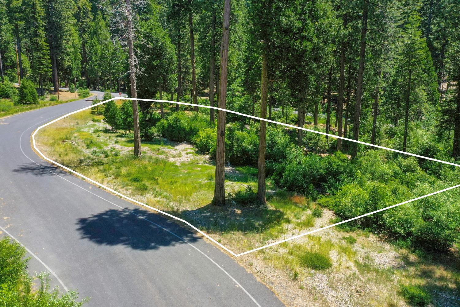 11 Timber Trail Court Arnold, CA 95223 - Photo 1 of 16