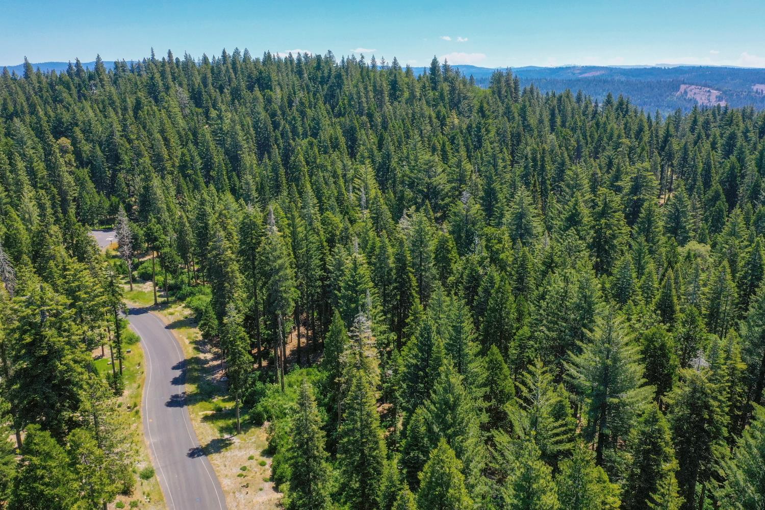 11 Timber Trail Court Arnold, CA 95223 - Photo 11 of 16 a view of a lush green space