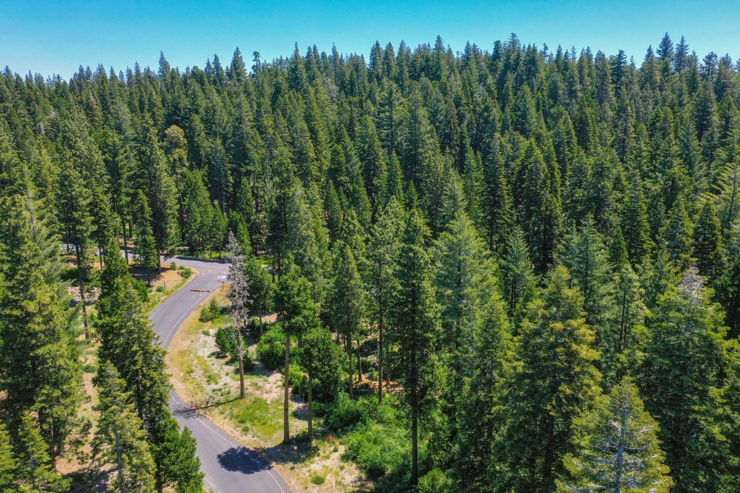 11 Timber Trail Court Arnold, CA 95223 - Photo 13 of 16 a view of a city