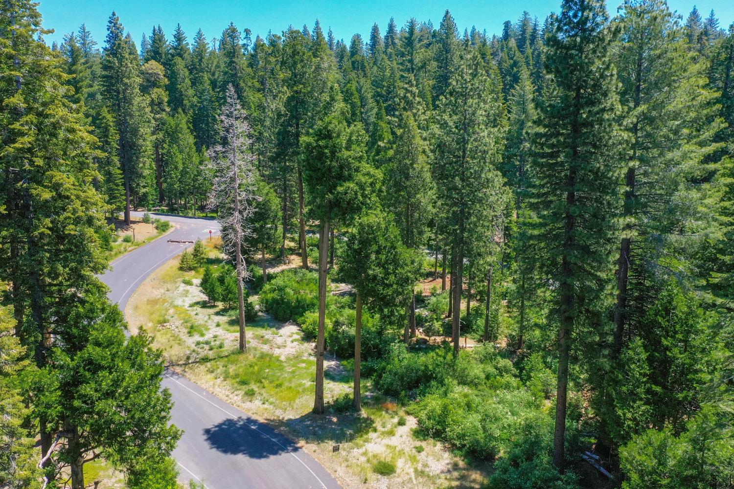 11 Timber Trail Court Arnold, CA 95223 - Photo 14 of 16