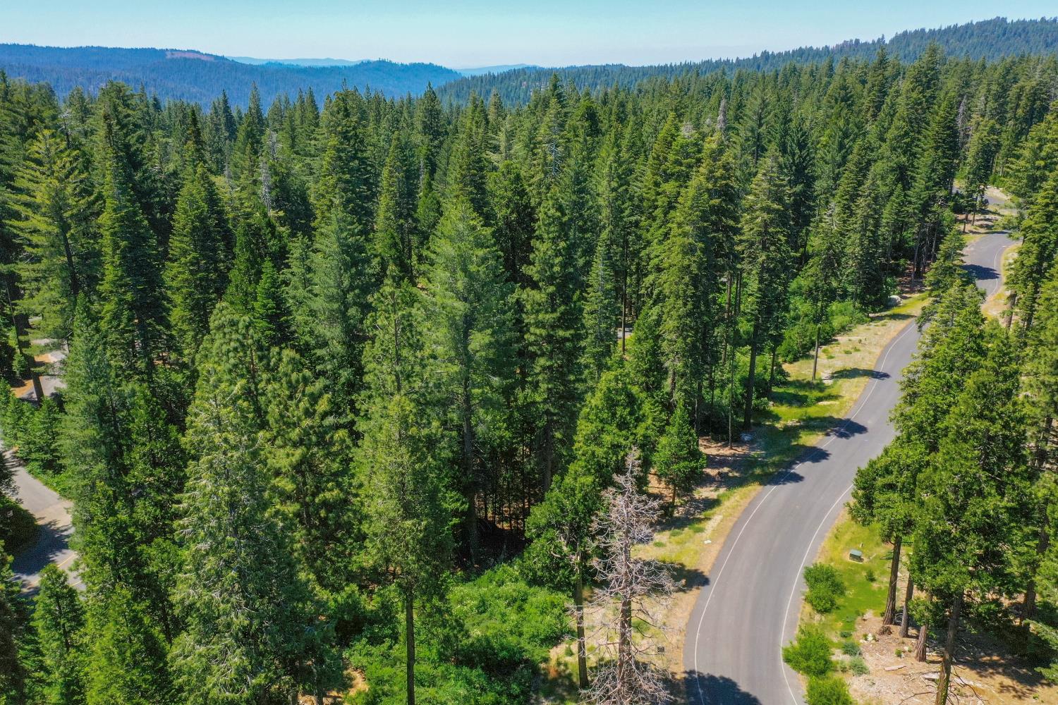 11 Timber Trail Court Arnold, CA 95223 - Photo 15 of 16 a view of a lush green forest with a mountain