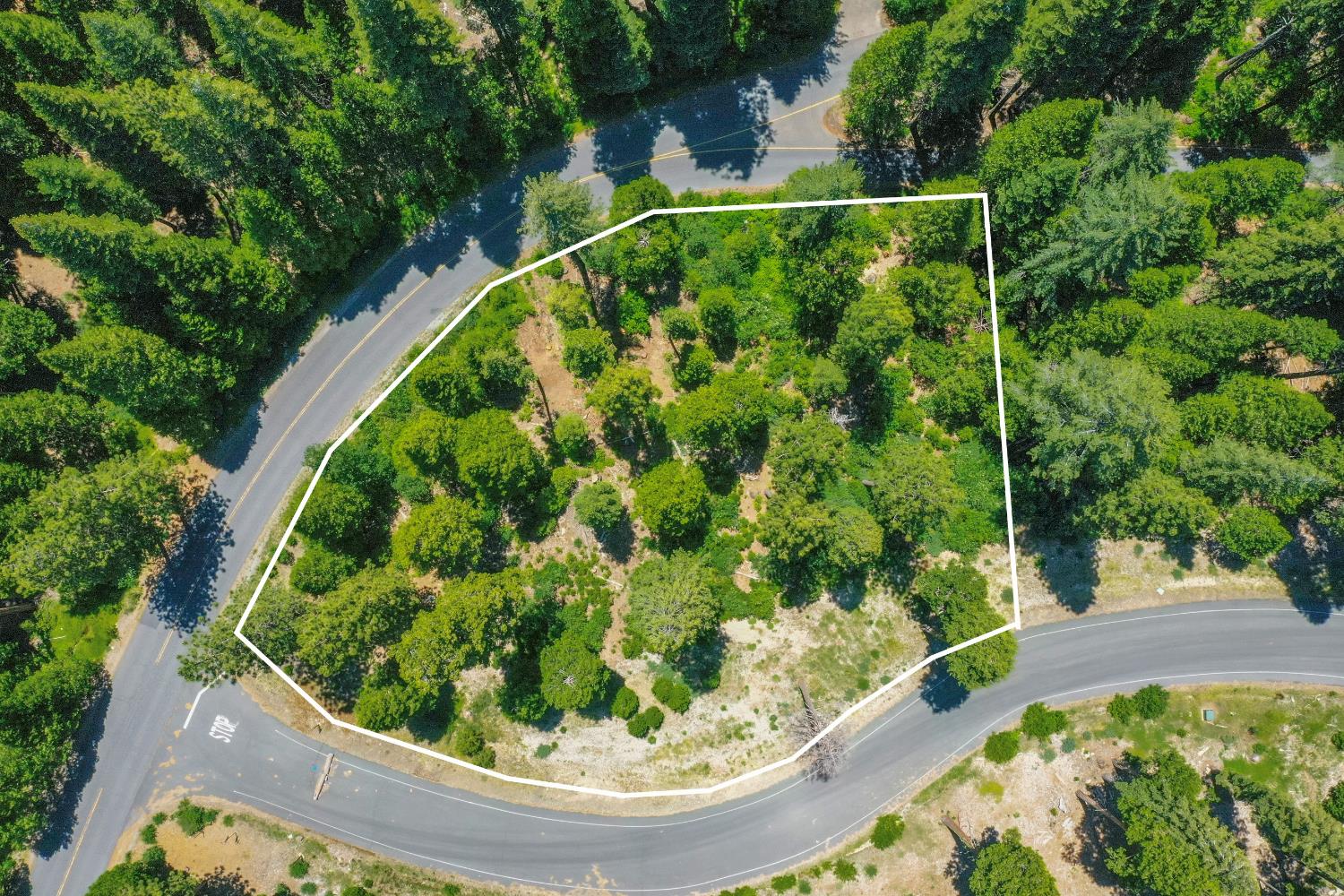 11 Timber Trail Court Arnold, CA 95223 - Photo 2 of 16 an outdoor view from a garden