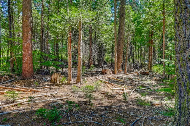 $75,000 | 11 Timber Trail Court, Arnold, CA 95223