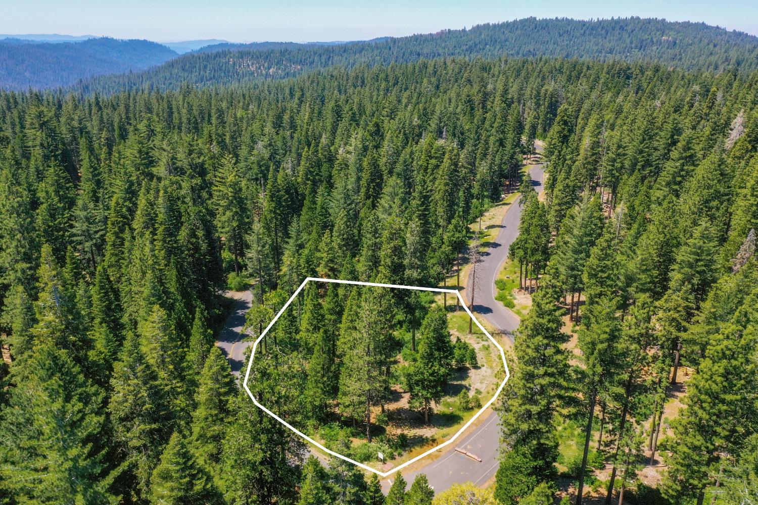 11 Timber Trail Court Arnold, CA 95223 - Photo 5 of 16 a view of a forest with a forest