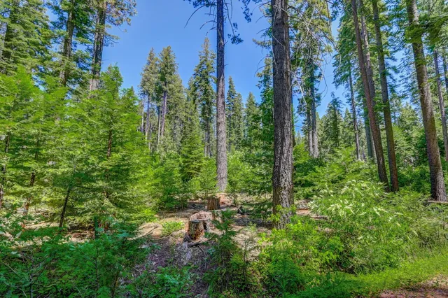 $75,000 | 11 Timber Trail Court, Arnold, CA 95223