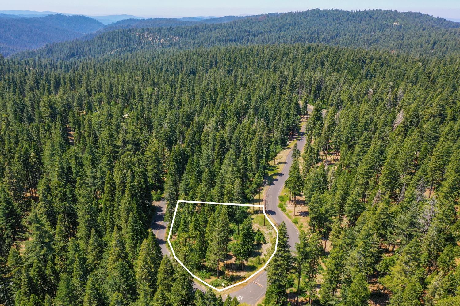 11 Timber Trail Court Arnold, CA 95223 - Photo 6 of 16 a view of a lush green field with a tree