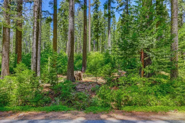 $75,000 | 11 Timber Trail Court, Arnold, CA 95223