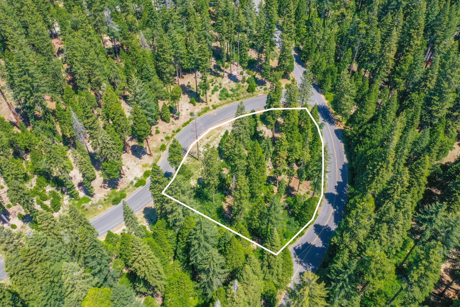 11 Timber Trail Court Arnold, CA 95223 - Photo 8 of 16 an aerial view of a house with a yard