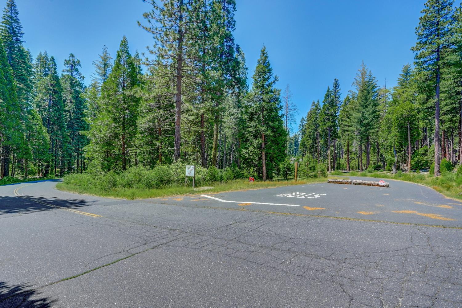 11 Timber Trail Court Arnold, CA 95223 - Photo 9 of 16 a view of road and trees