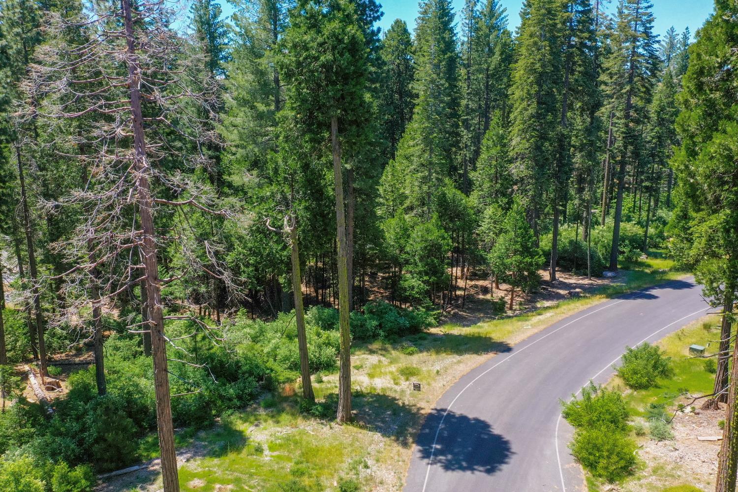 11 Timber Trail Court Arnold, CA 95223 - Photo 10 of 16 a view of a lake with huge green field