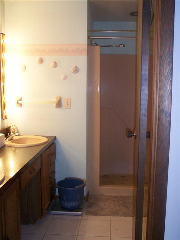 206 Ridgeview Drive Wexford, PA 15090 - Photo 10 of 12 Master bath with shower.